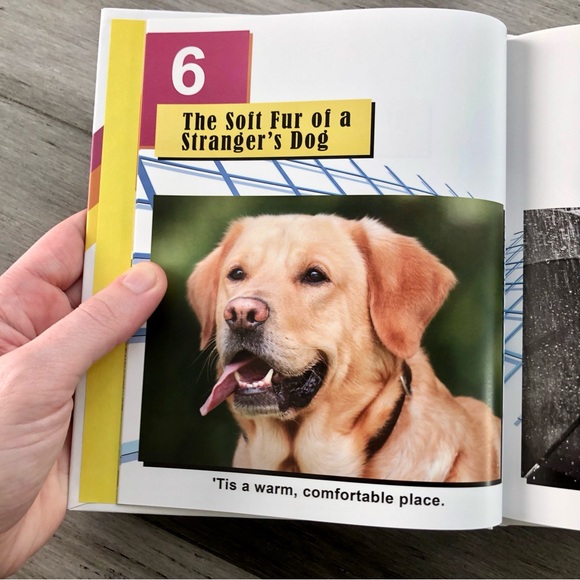 💸 5/20 ‘The Best Things to Scream Into' by Orson Spooring Hardback Comedy Book - Picture 8 of 8